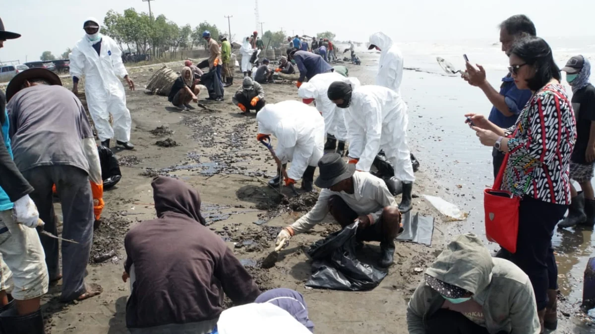 Tingkatkan Ekonomi Warga Pesisir Karawang, PHE Kembangkan Pusat Restorasi dan Pembelajaran Mangrove