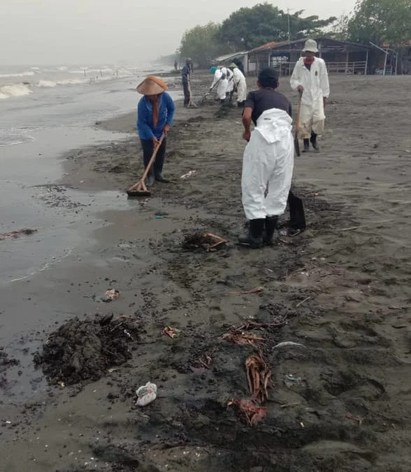 Tumpahan Minyak Muncul Lagi, Pertamina Langsung Bergerak