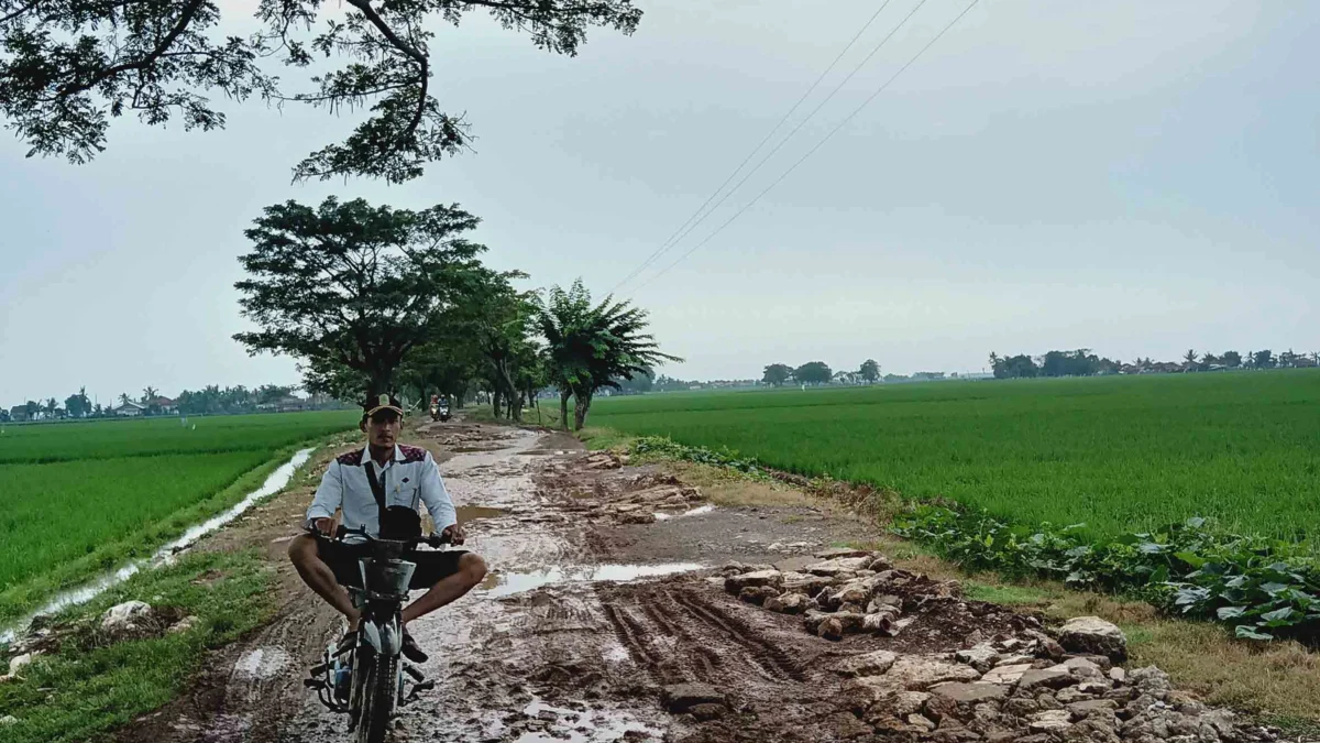 Jalan Pemda Dibiarkan Rusak