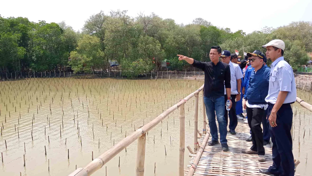 Bakal Punya Mini Sea World