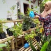 Uniknya Lomba Rumah Pangan Lestari