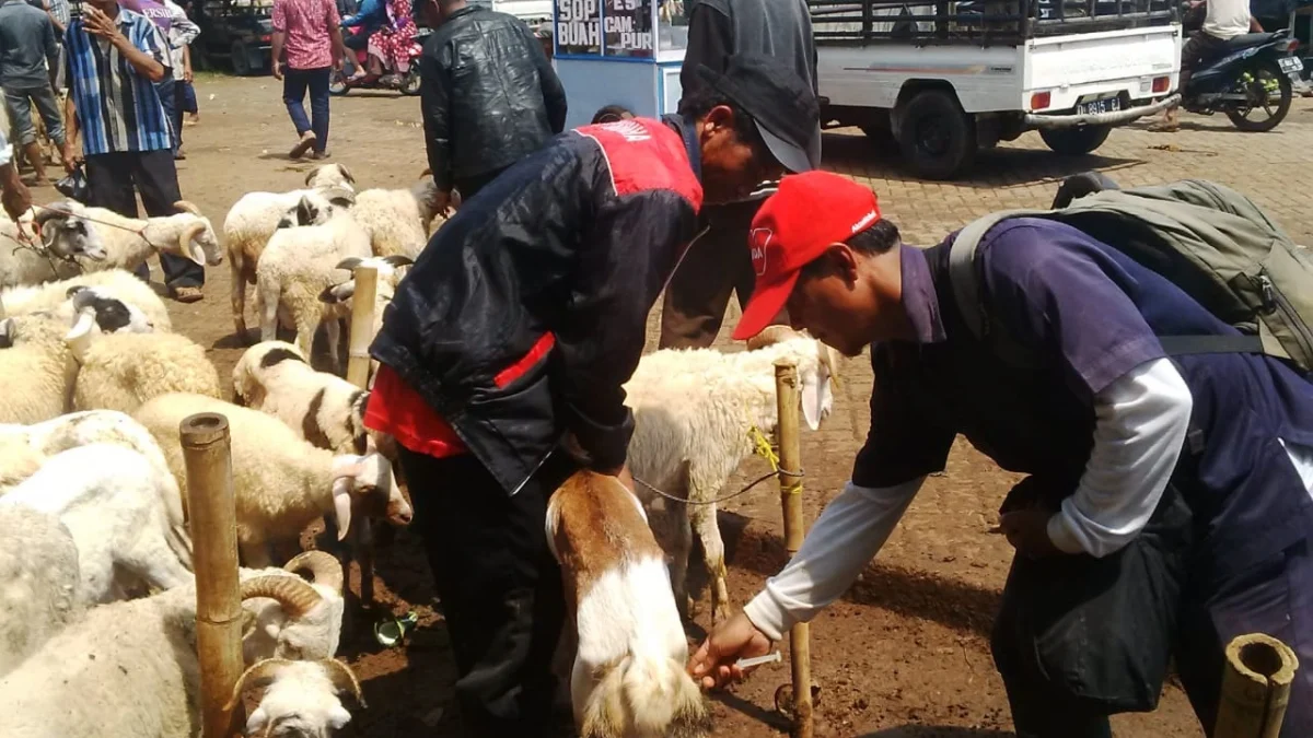 Pihak Kecamatan dan Desa Harus Ikut Atur Lokasi Hewan Kurban