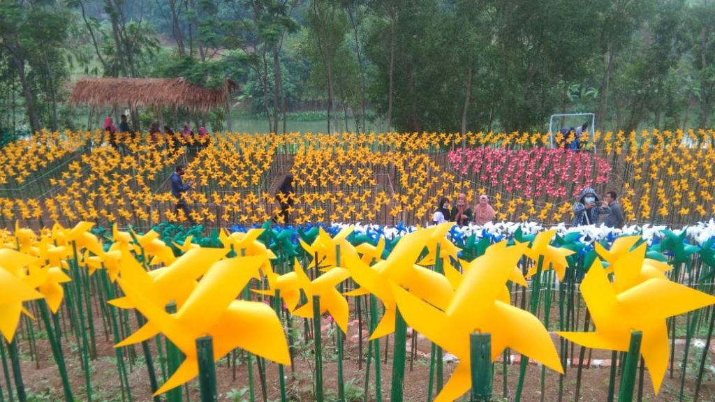 Berawal dari Kebun Bunga dan Sayur yang Mati