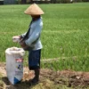 Data Kartu Tani Masih Semrawut