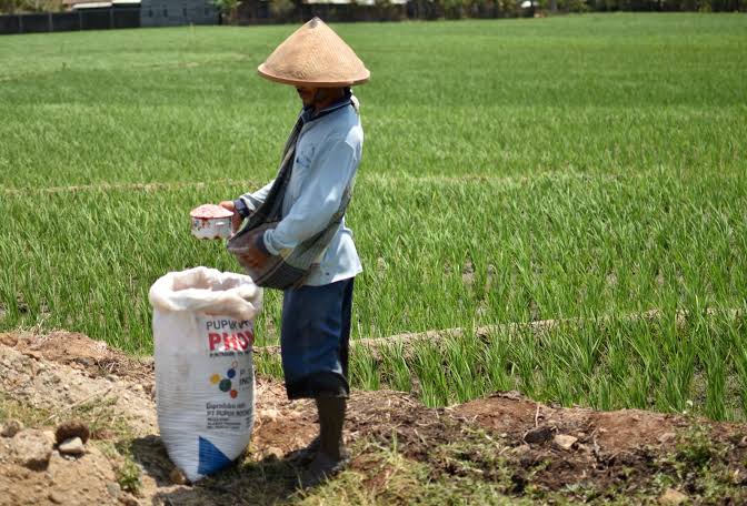 Siap-siap, Pupuk Langka Lagi