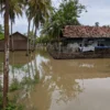 Tanggul Jebol, Cilamaya Banjir Lagi