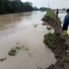 Tanggul Sungai Cilamaya Sedikit Lagi Jebol