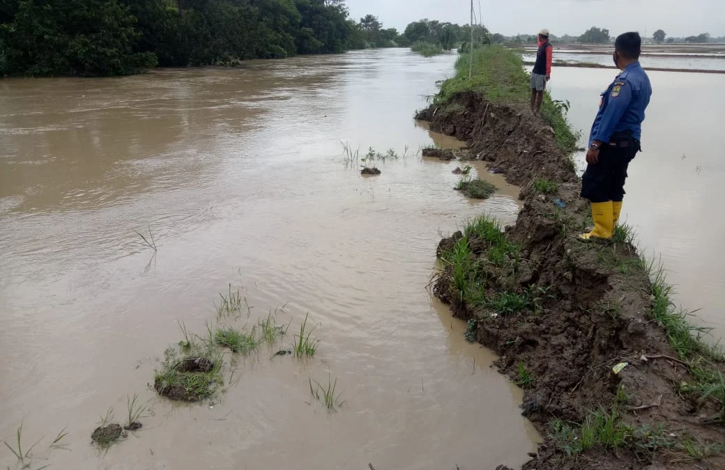 Tanggul Sungai Cilamaya Sedikit Lagi Jebol