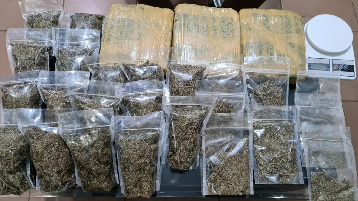 Ajegile, Maung Punya Ganja 4,4 Kilo