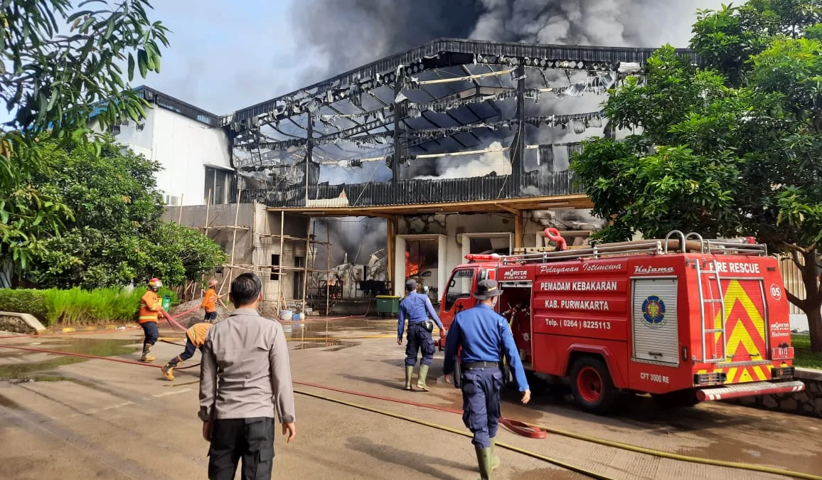 Pabrik Olahan Daging di Cikumpay Itu Terbakar Hebat Pabrik Olahan Daging di Cikumpay Itu Terbakar Hebat