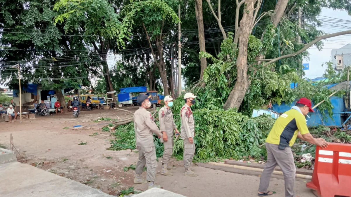 Melihat Taman Bencong dari Hari ke Hari: Pohon Puluhan Tahun Ditebang, Bangunan Beton Permanen Bertambah