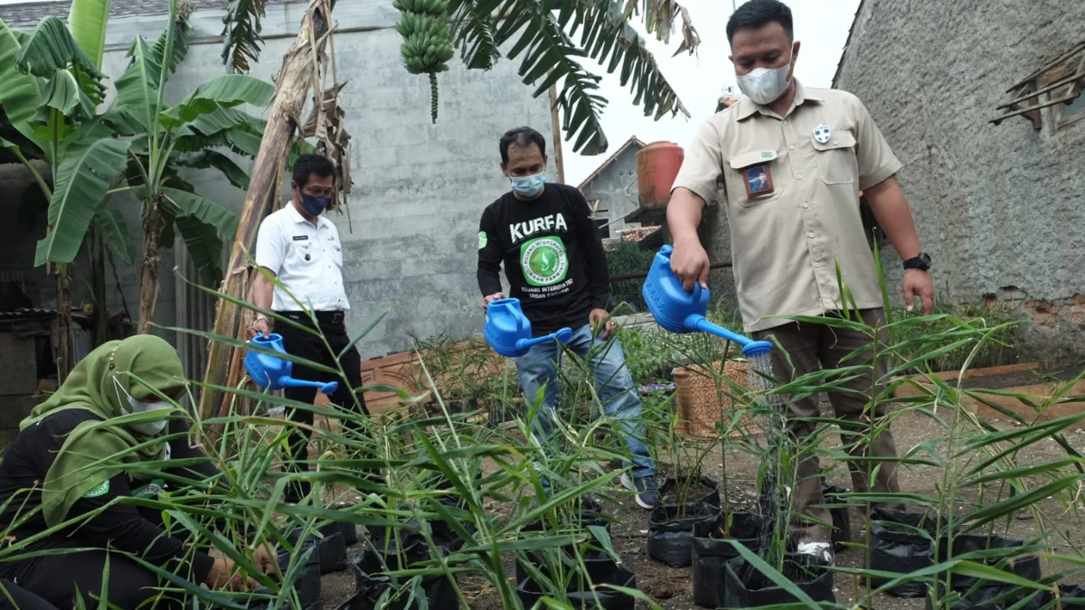 Mengenal Program Kurfa Pupuk Kujang