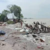 Abrasi di Pantai Utara Karawang Memprihatinkan