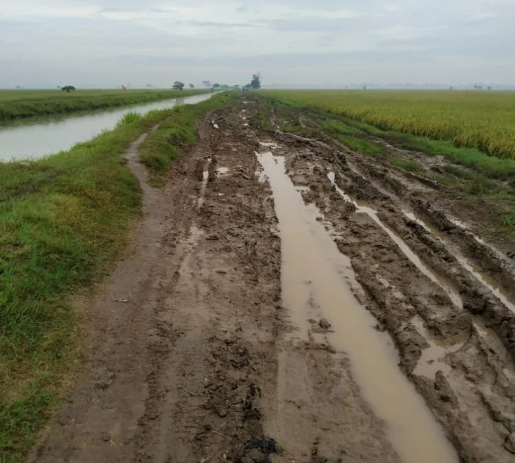 Jalan Tani di Kecamatan Cilebar ‘Ancur-Ancuran’