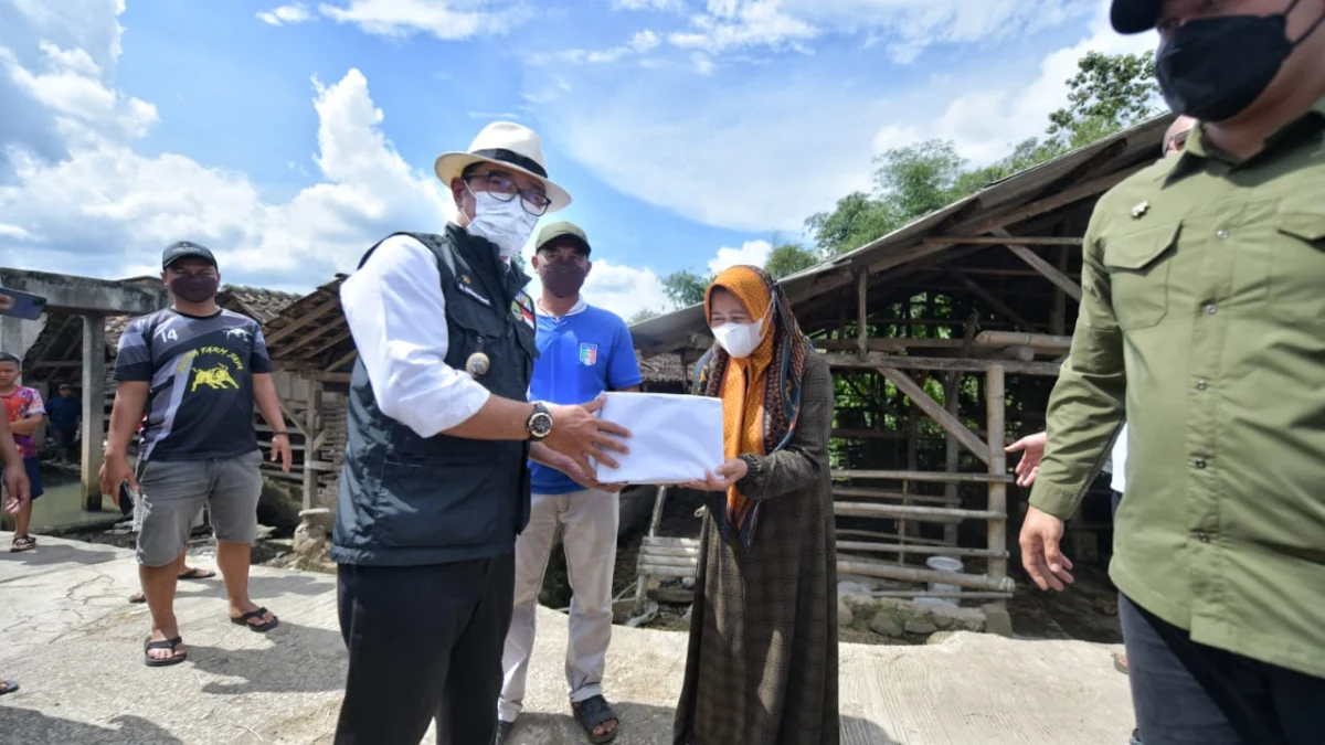 Ridwan Kamil Imbau Semua Daerah di Jawa Barat Tingkatkan Pengawasan Lalu Lintas Ternak