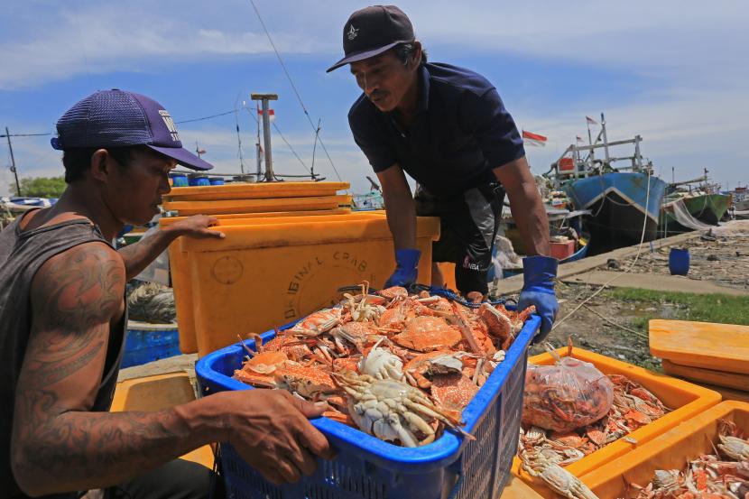 Nelayan Lesu, Harga Rajungan Di Pesisir Karawang Anjlok