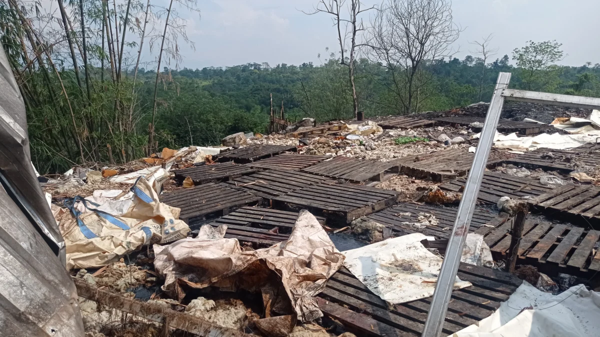 Pelaku Kejahatan Lingkungan Dikenai Pasal Berlapis