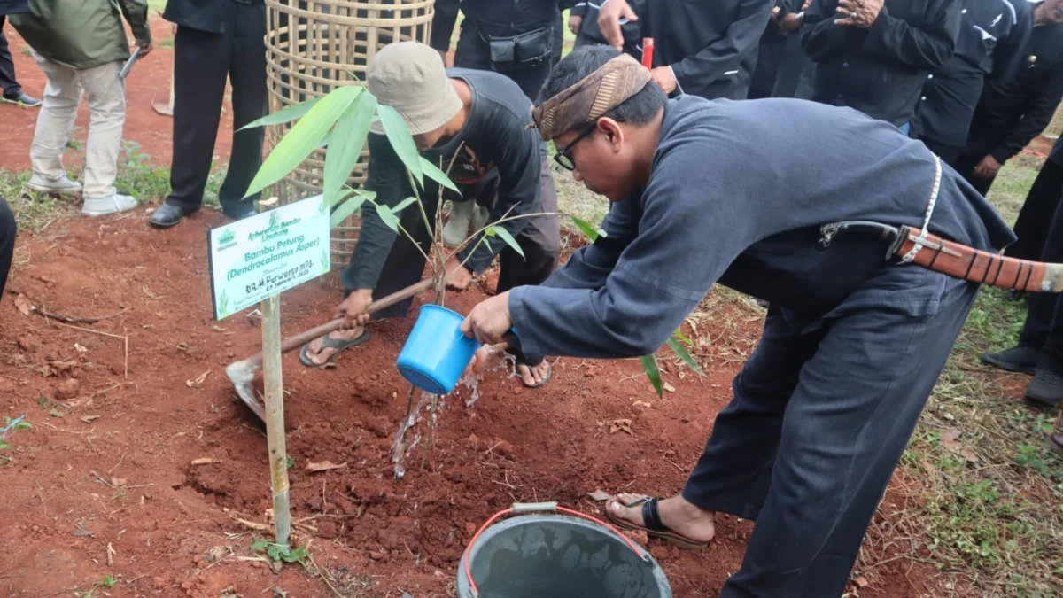 Disdik Miliki Sekolah Berbasis Arboretum Bambu