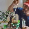 Karya Seni Terrarium Raup Jutaan Rupiah