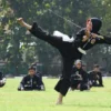 Seperti halnya olahraga fisik lainnya, silat juga memiliki potensi risiko cedera. Olahraga silat adalah seni bela diri yang juga jadi budaya.