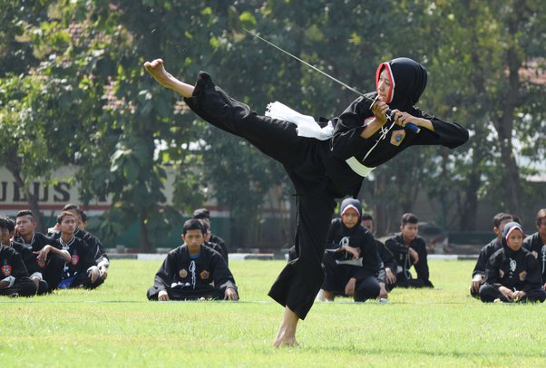 Seperti halnya olahraga fisik lainnya, silat juga memiliki potensi risiko cedera. Olahraga silat adalah seni bela diri yang juga jadi budaya.