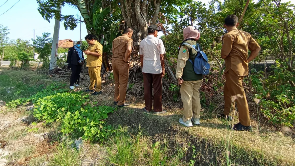 Banyak Sawah Kekeringan di Karawang Ancam Gagal Panen