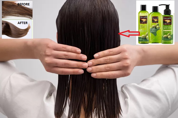 5 Bahan Alami Membuat Rambut Berkilau Hitam Dan Lembut Dapat Digunakan Rutin Sebelum Tidur