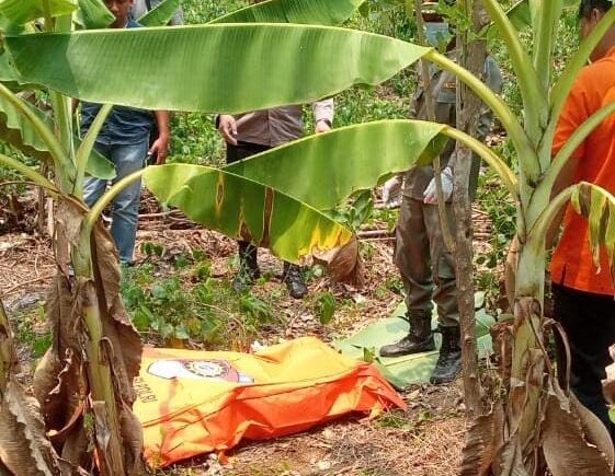 Jasad Honorer RSUD Karawang Membusuk di Kebun Pisang