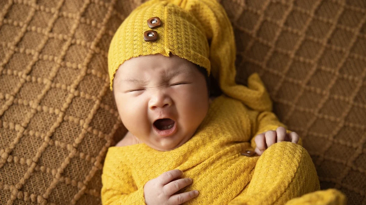 Pemenuhan Kebutuhan ASI untuk Bayi di 5 Hari Pertama (Pixabay/bongbabyhousevn)