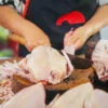 Ayam Yang Nggak Segar Atau Bahkan Tiren Memiliki Efek Buruk Jika Dikonsumsi