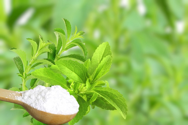 Pengganti Pemanis Gula, Intip 5 Manfaat Daun Stevia?