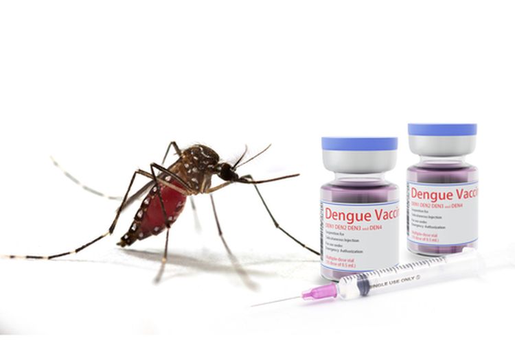 Vaksin Dengue: Apa Saja Keuntungannya?