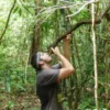 Bertahan Hidup Di Hutan (IDN Times)