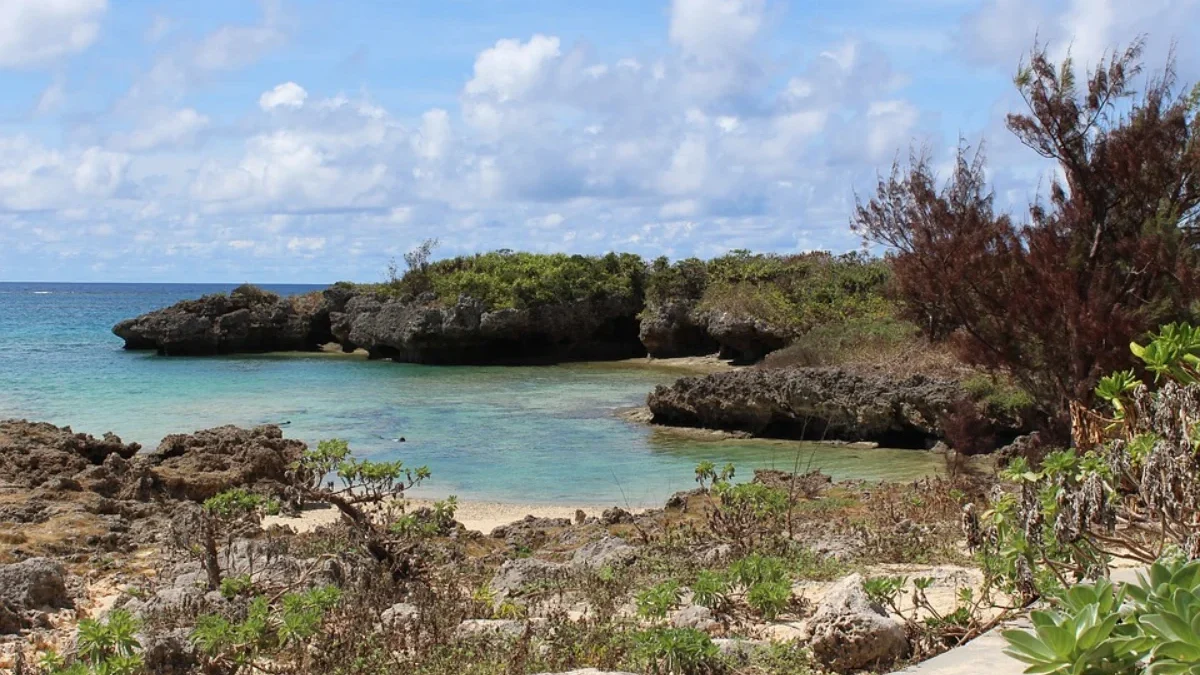 Ilustrasi Kota Okinawa, Jepang, Kota Blue Zone yang terkenal dengan (Pixabay/akane001)