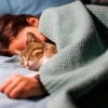 7 Fakta Seputar Tidur Bersama Kucing: Simak Hal-Hal yang Wajib Diperhatikan Sebelum Memutuskan Berbagi Tempat Tidur dengan Si Kucing!