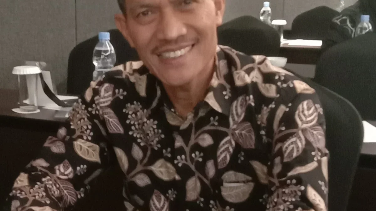 Danu Hamidi