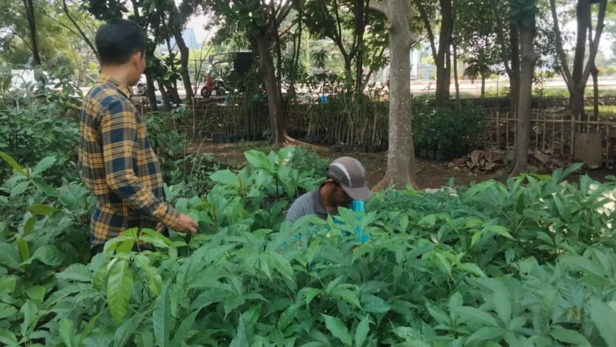 Ruang Terbuka Hijau Keanekaragaman Hayati