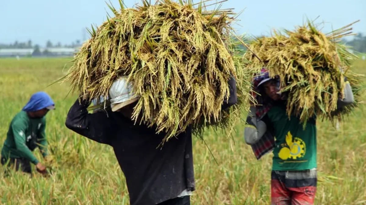 Anggota DPRD Kabupaten Bekasi Diduga Tilep Dana Hibah Rp10 Miliar, HMI Laporkan ke Kejati Jabar