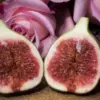 Manfaat Buah Bit