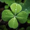 Four Leaf Clover Simbol Keberuntungan