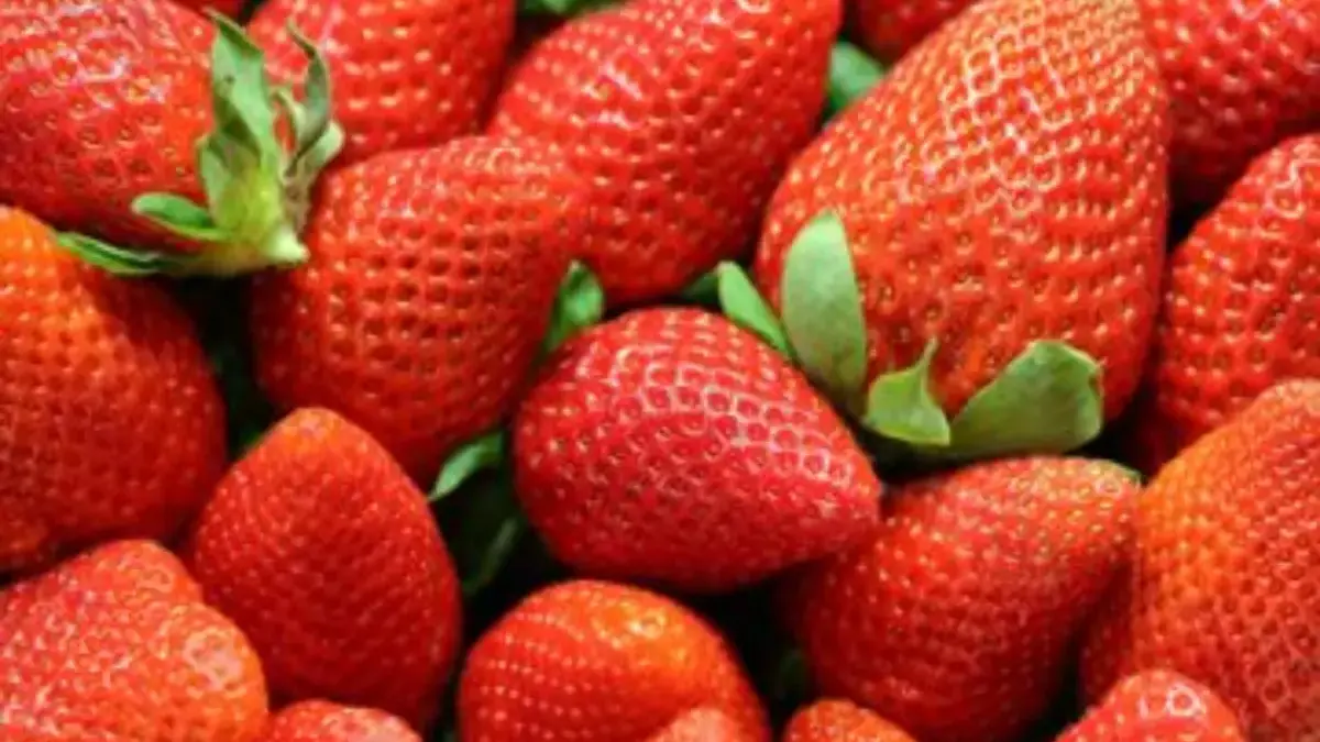 Manfaat Buah Stroberi untuk Kesehatan
