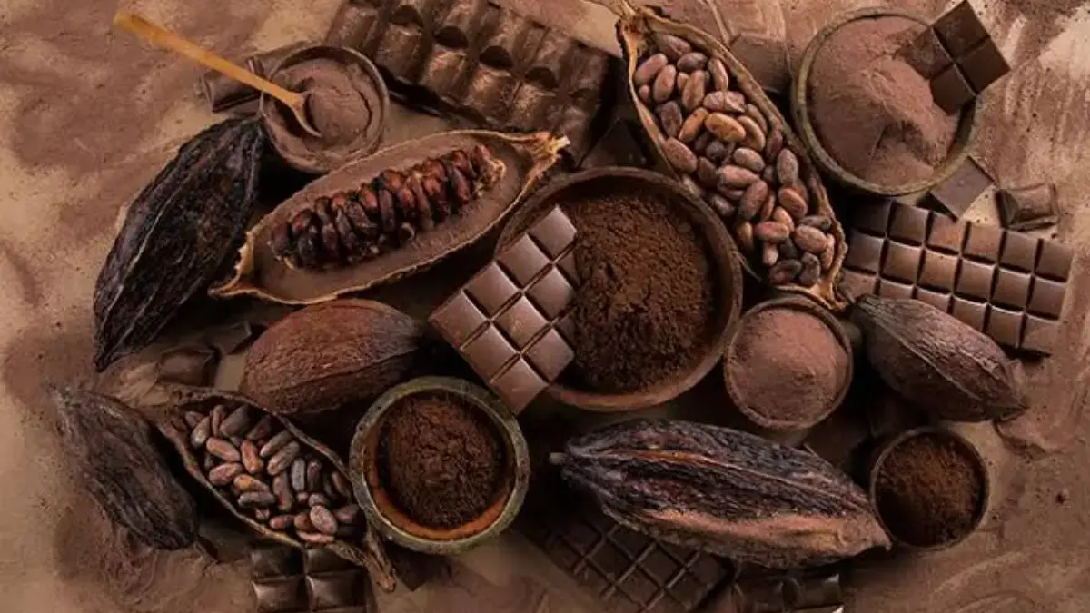 Manfaat Coklat untuk Kesehatan