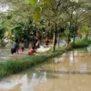 Bencana Banjir di Karawang.