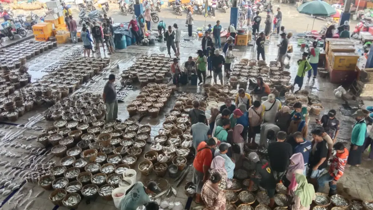 Pengelolaan Tempat Pelelangan Ikan (TPI) Ciparage dari Koperasi KPPL Samudra Mulya.