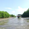 Desa Muarabaru siap jadi Desa Wisata.