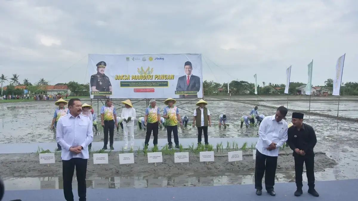 Lahan Sitaan Kasus Asabri Disulap Menjadi Sawah Produktif.