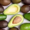 Manfaat Buah Alpukat untuk Tubuh