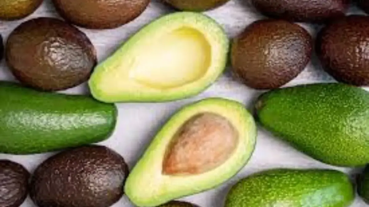 Manfaat Buah Alpukat untuk Tubuh
