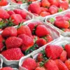 Alasan Kenapa Buah Stroberi Bijinya di Luar