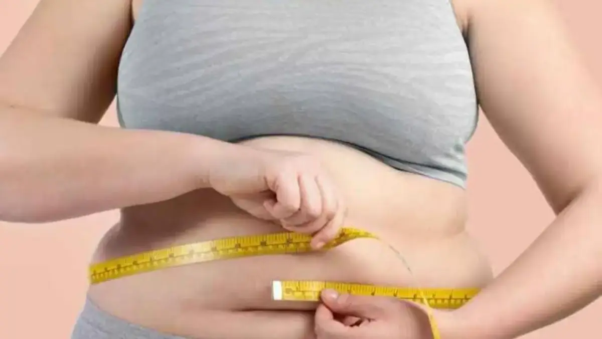 Pengertian Obesitas, Penyebab dan Gejala